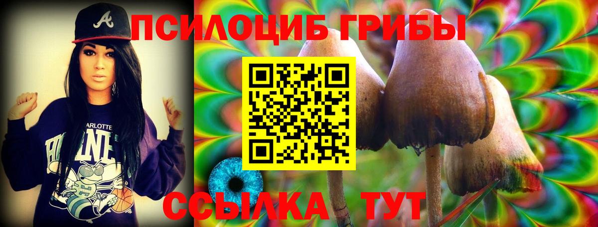 Псилоцибиновые грибы Cubensis  Вход с VPN  Реж 